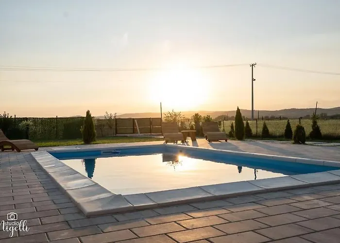 Belgijska Pruga * Zaječar