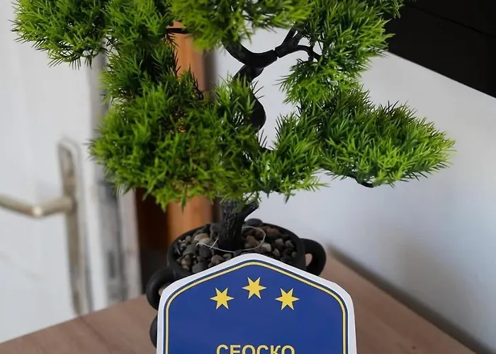 Villa Belgijska Pruga *