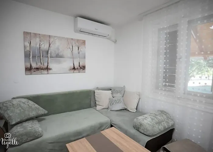 Villa Belgijska Pruga Zaječar